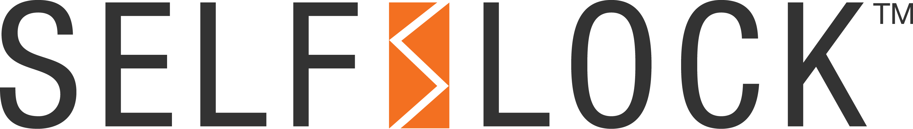 self-lock-logo