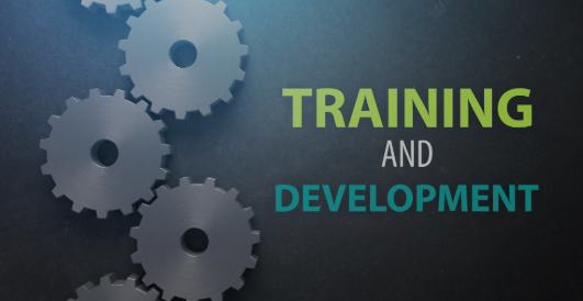 Screenshot 2025-01-13 113052